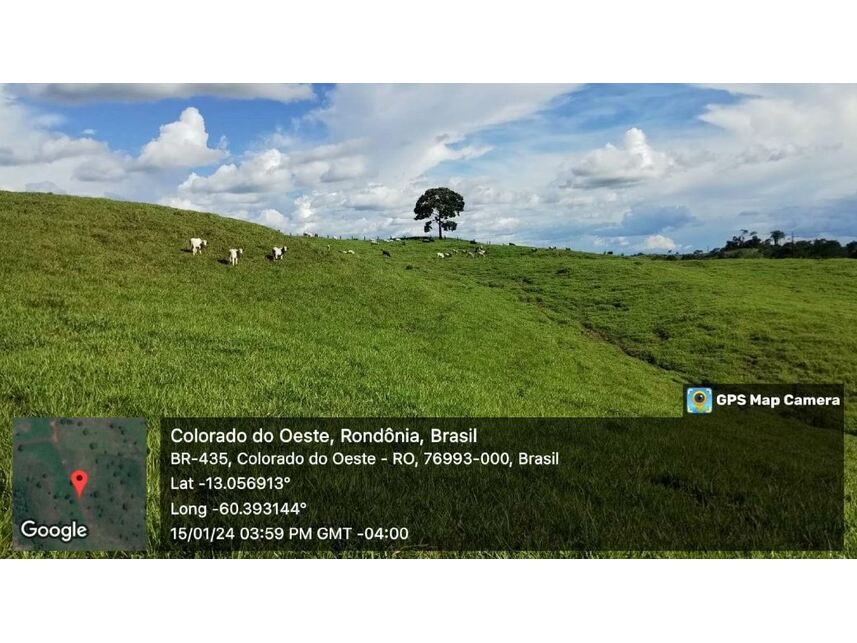 Imagem 7 do Leilão de Sítio - Zona Rural - Colorado do Oeste/RO