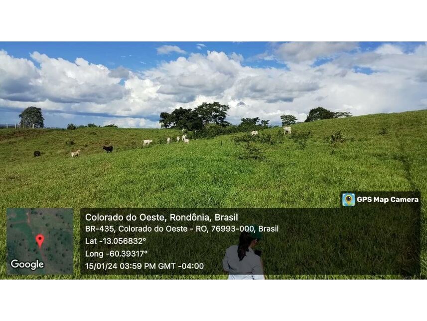 Imagem 9 do Leilão de Sítio - Zona Rural - Colorado do Oeste/RO