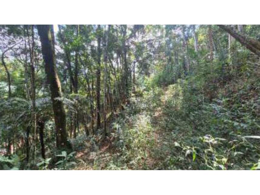Imagem 3 do Leilão de Terreno - Parque do Imbui - Teresópolis/RJ