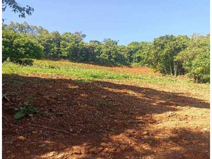 Imagem 3 do Leilão de Área Rural - Zona Rural - Mondaí/SC