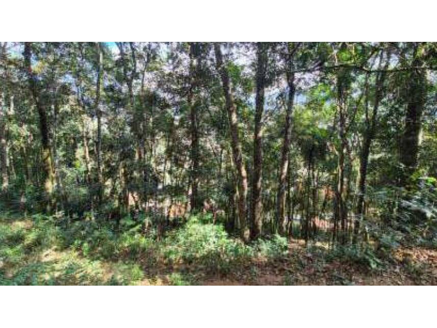 Imagem 5 do Leilão de Terreno - Parque do Imbui - Teresópolis/RJ