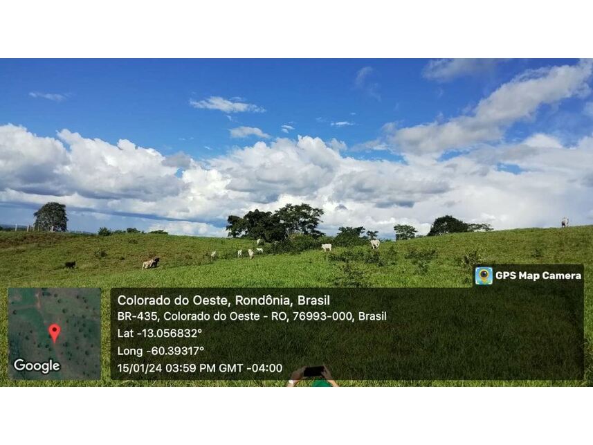 Imagem 8 do Leilão de Sítio - Zona Rural - Colorado do Oeste/RO