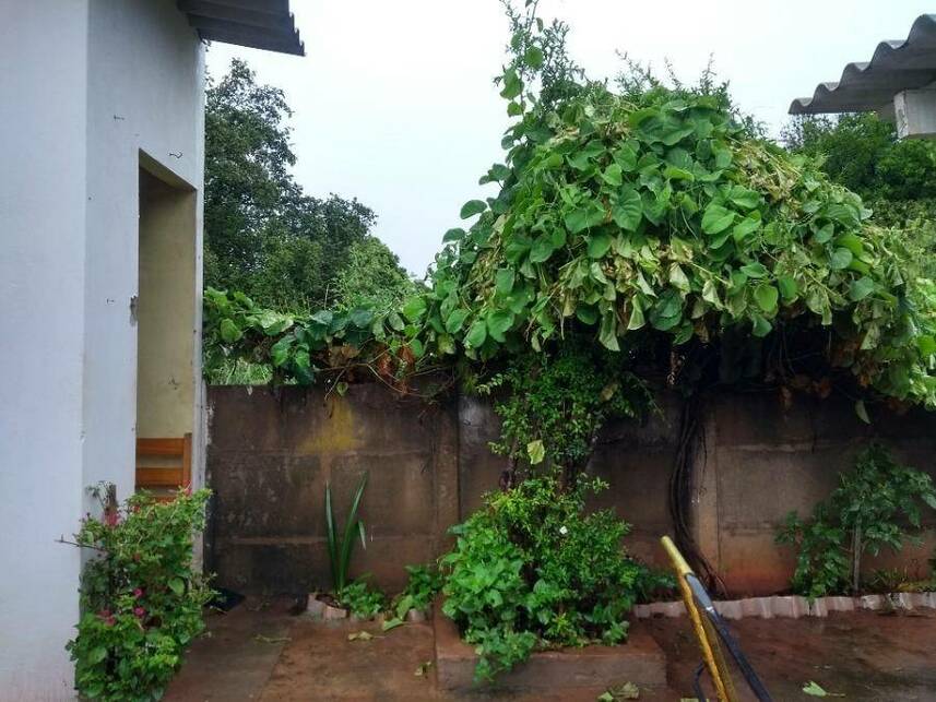 Imagem 21 do Leilão de Casa - Centro - Promissão/SP