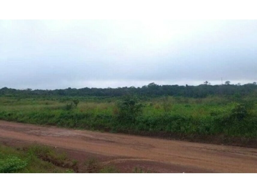 Imagem 2 do Leilão de Terreno - Monte Alegre - Mocajuba/PA