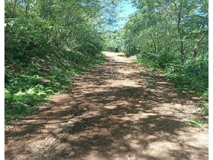 Imagem 7 do Leilão de Área Rural - Zona Rural - Mondaí/SC