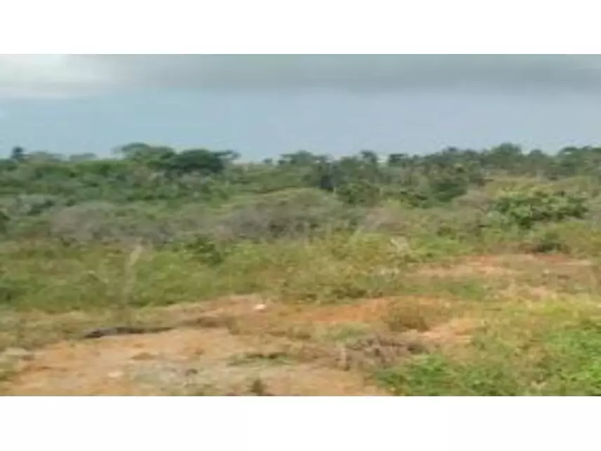 Área Rural à venda em leilão - leilão judicial - Camaçari BA - lance mínimo R$ 619.204