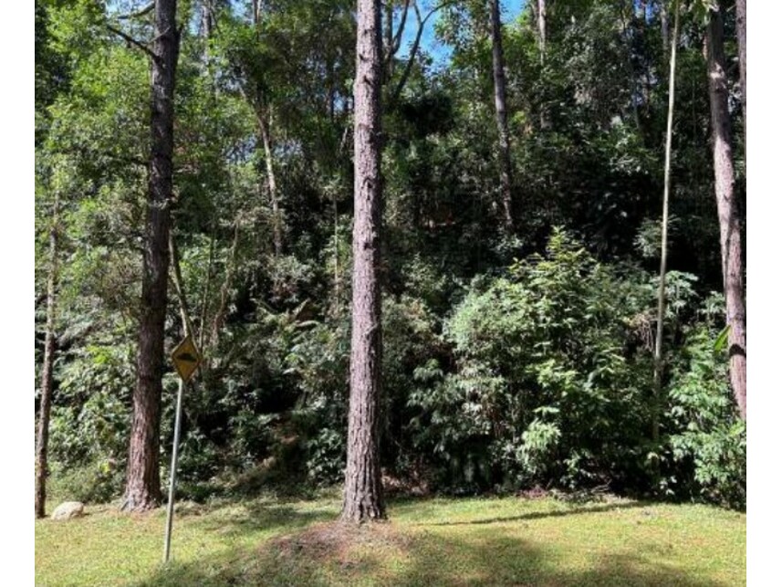 Imagem 2 do Leilão de Terreno - Itaqui - Itapevi/SP