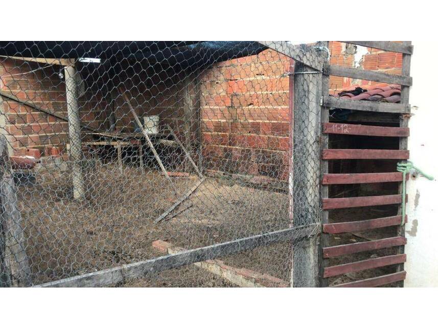 Imagem 14 do Leilão de Casa - Nossa Senhora de Fátima - Jaguaribara/CE