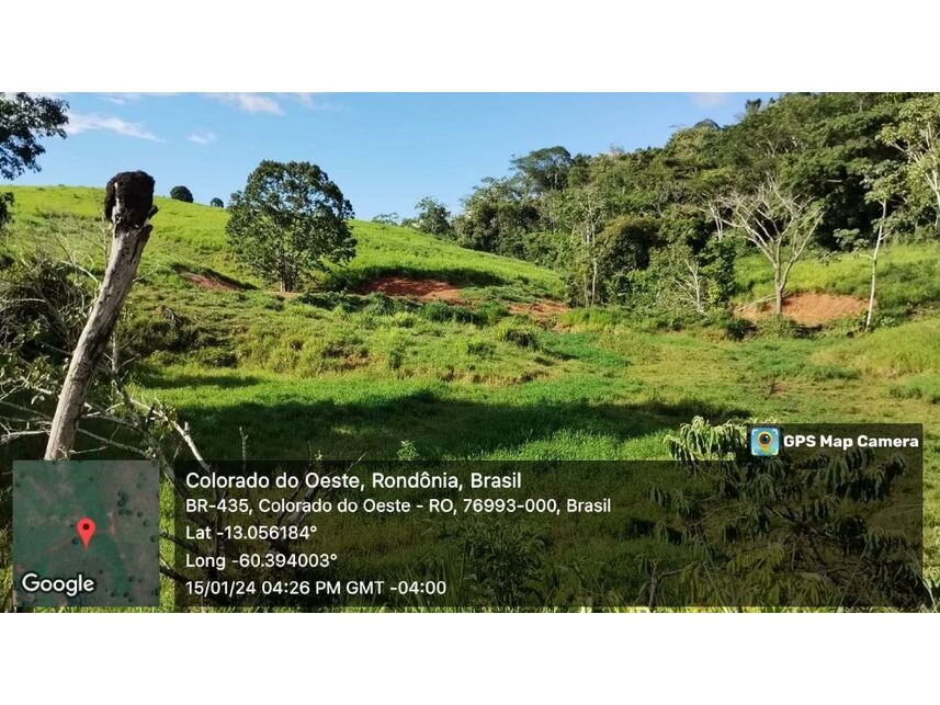 Imagem 22 do Leilão de Sítio - Zona Rural - Colorado do Oeste/RO