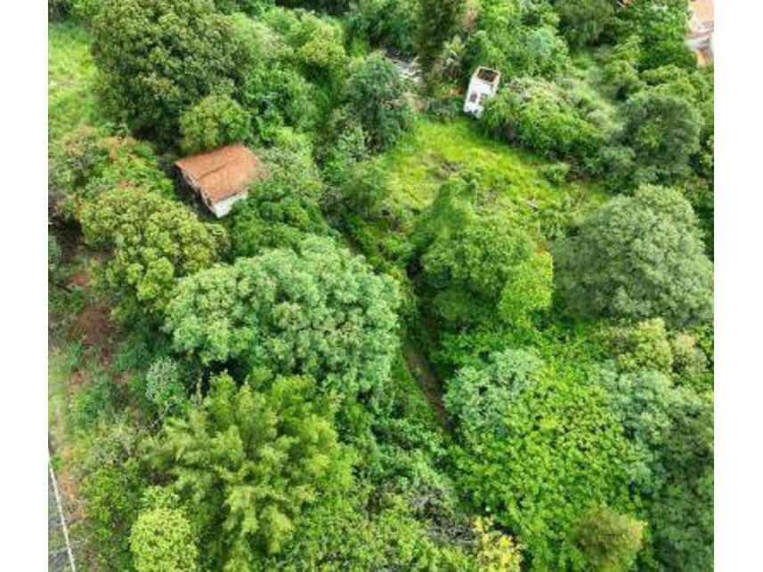 Imagem 3 do Leilão de Terreno - Parque Santa Cecília - Piracicaba/SP