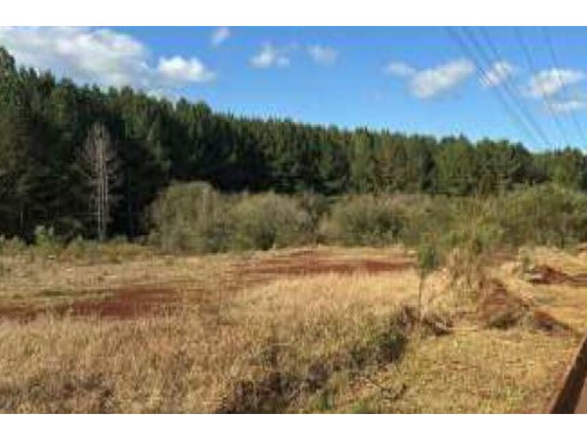 Imagem 4 do Leilão de Terreno - Santo Antônio - Santa Maria do Oeste/PR