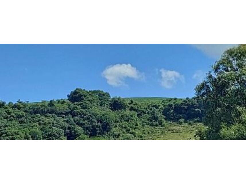 Imagem 5 do Leilão de Área Rural - Zona Rural - Vila Maria/RS