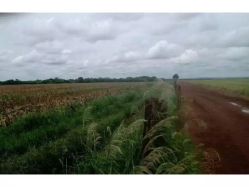 Área Rural à venda em leilão - leilão extrajudicial - Goiatuba GO - lance mínimo R$ 46.901.713