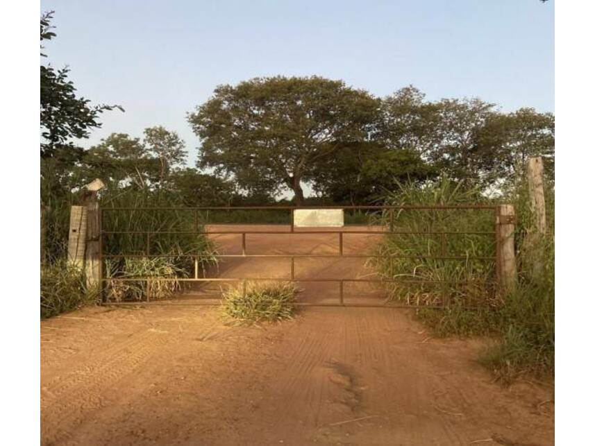 Imagem 5 do Leilão de Fazenda - Fazenda Gameleira - Lagoa Grande/MG