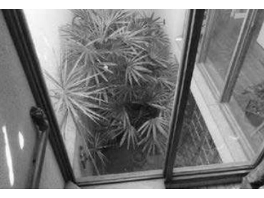 Imagem 8 do Leilão de Casa - Ipiranga - São Paulo/SP