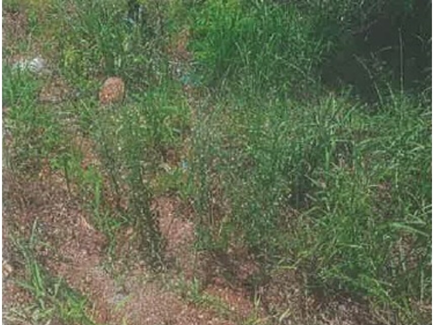 Imagem 4 do Leilão de Terreno - Loteamento Simon Bolivar Ii - Corumbaíba/GO