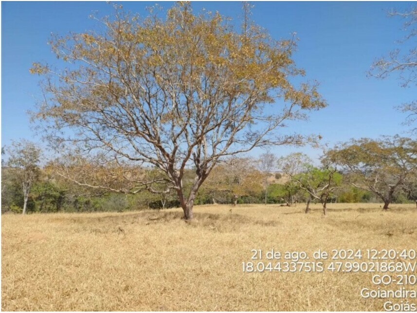 Imagem 12 do Leilão de Terreno - Zona Rural - Catalão/GO