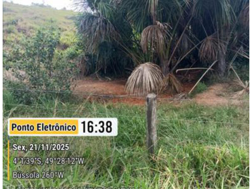 Imagem 7 do Leilão de Área Rural - Gleba Repartimento - Breu Branco/PA