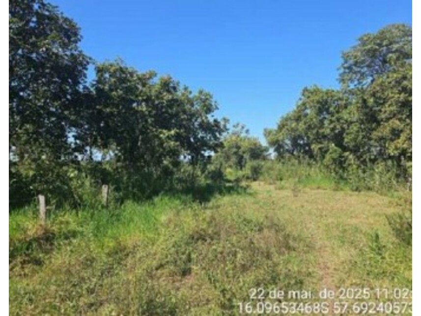 Imagem 8 do Leilão de Área Rural - Junco - Cáceres/MT