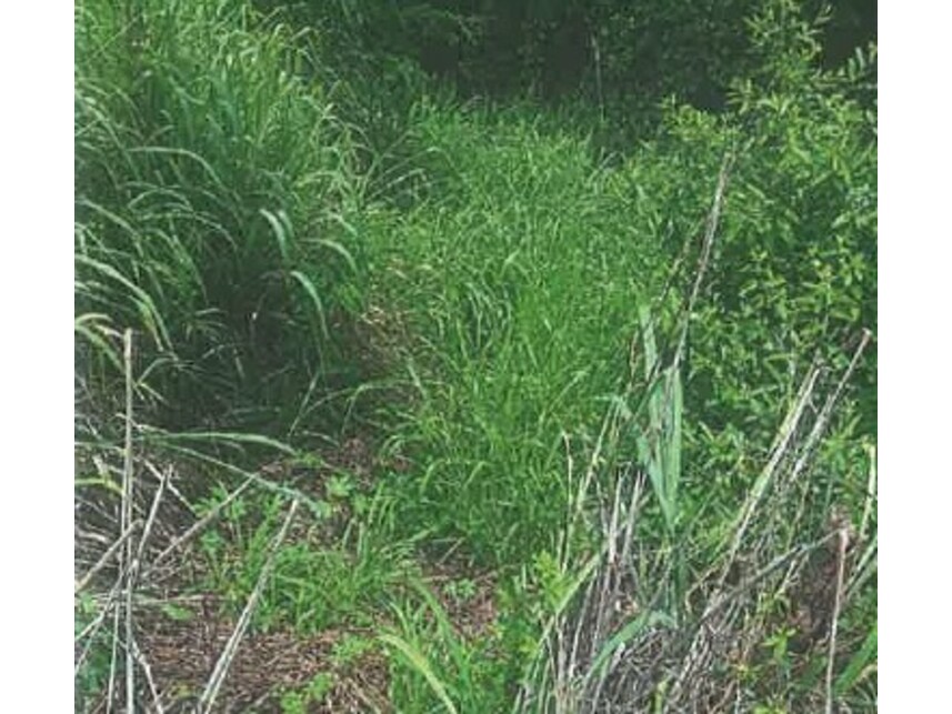 Imagem 2 do Leilão de Terreno - Loteamento Simon Bolivar Ii - Corumbaíba/GO