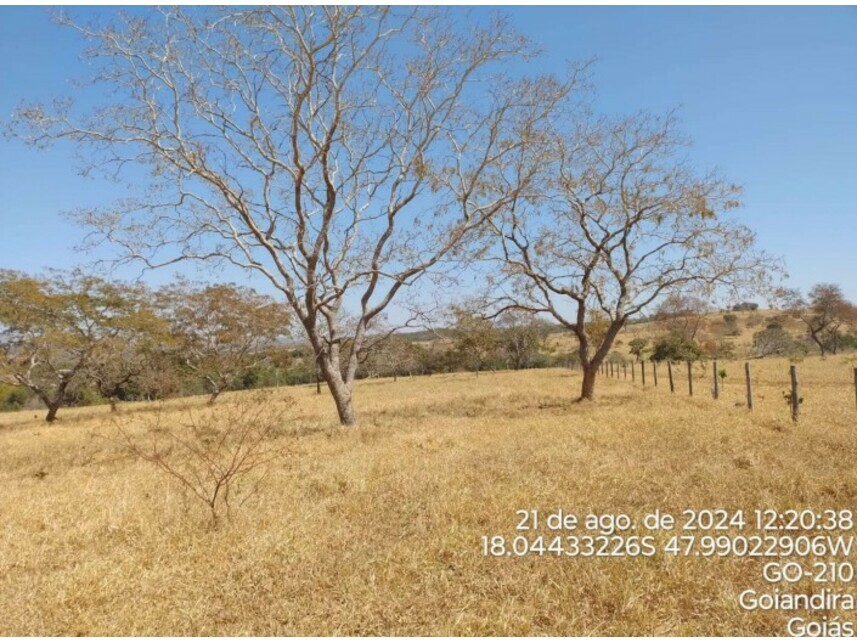 Imagem 10 do Leilão de Terreno - Zona Rural - Catalão/GO