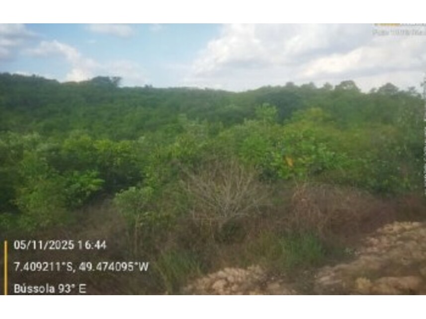 Imagem 3 do Leilão de Fazenda - Zona Rural - Floresta do Araguaia/PA