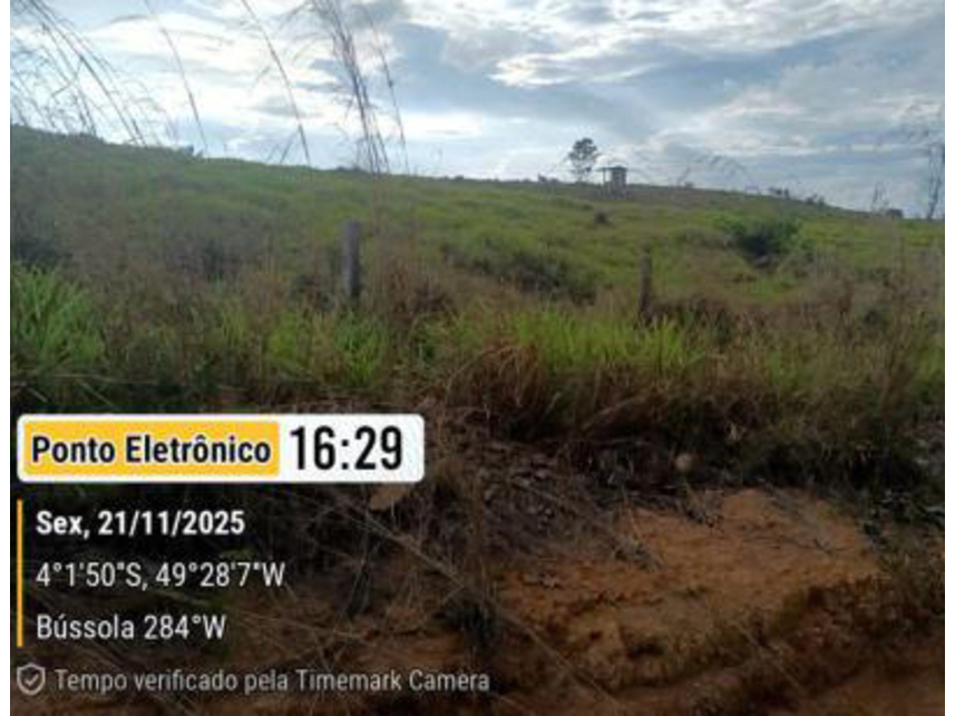 Imagem 4 do Leilão de Área Rural - Gleba Repartimento - Breu Branco/PA