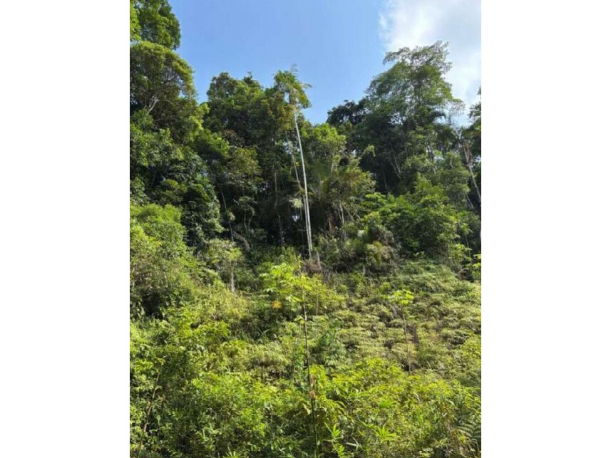Imagem 8 do Leilão de Terreno - Guararú - Guarujá/SP