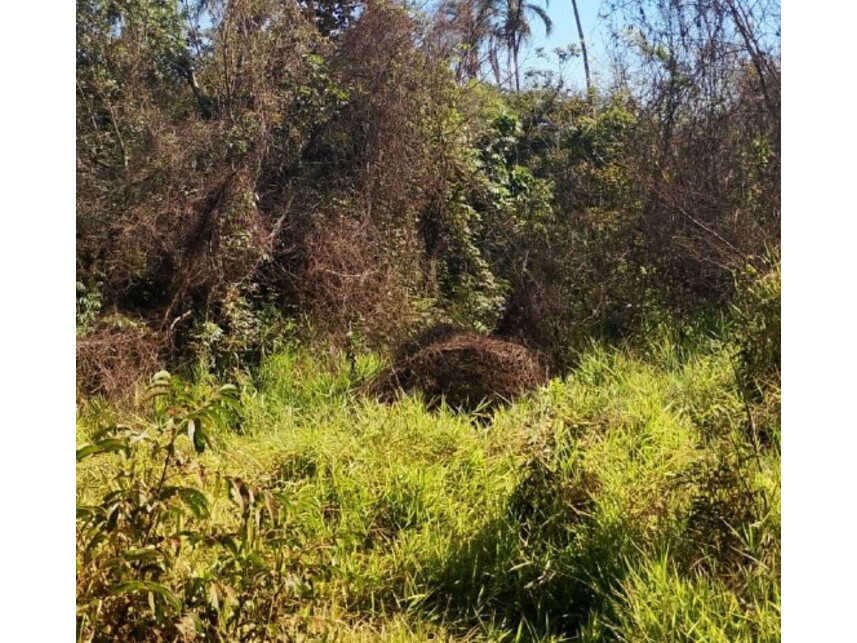 Imagem 1 do Leilão de Terreno - Sítio Manoel Velho - Indianópolis/MG