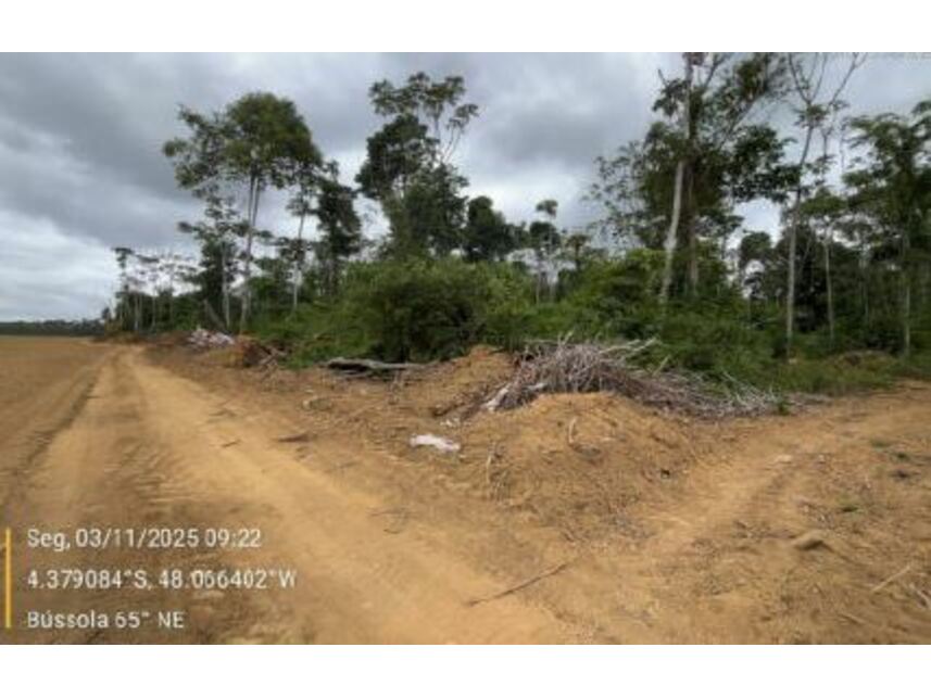 Imagem 15 do Leilão de Área Rural - Área Rural - Rondon do Pará/PA