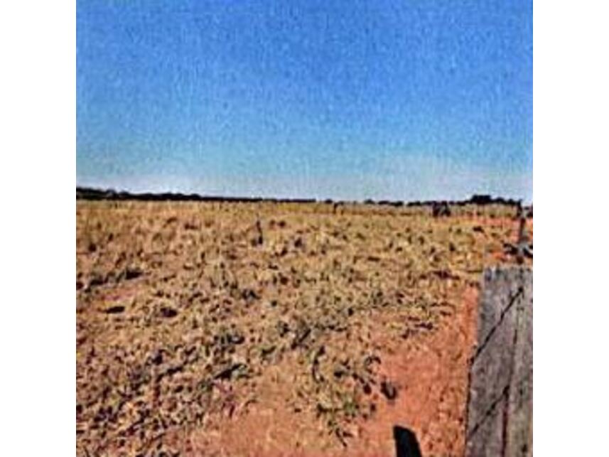 Imagem 4 do Leilão de Área Rural - Zona Rural - Coxim/MS