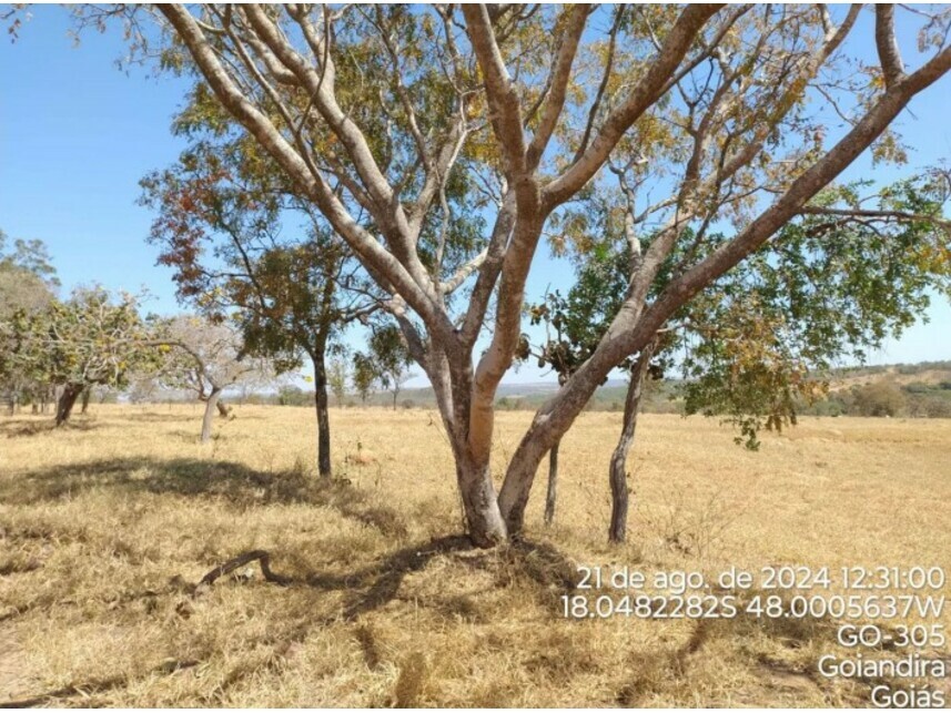 Imagem 5 do Leilão de Terreno - Zona Rural - Catalão/GO