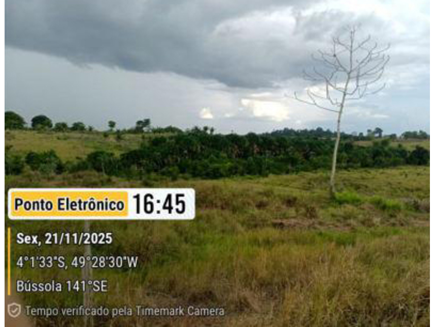 Imagem 10 do Leilão de Área Rural - Gleba Repartimento - Breu Branco/PA