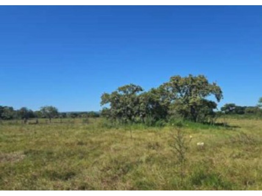 Imagem 2 do Leilão de Área Rural - Junco - Cáceres/MT
