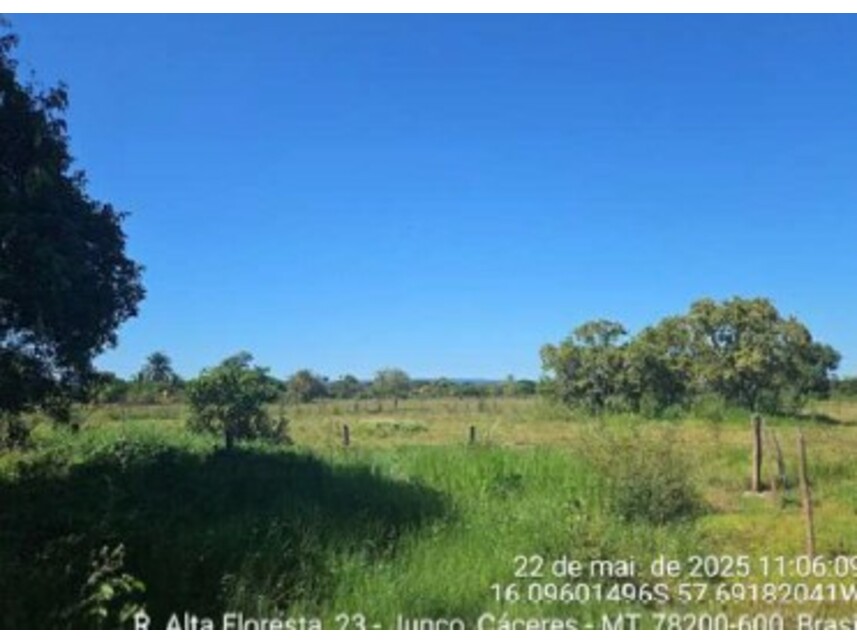 Imagem 1 do Leilão de Área Rural - Junco - Cáceres/MT