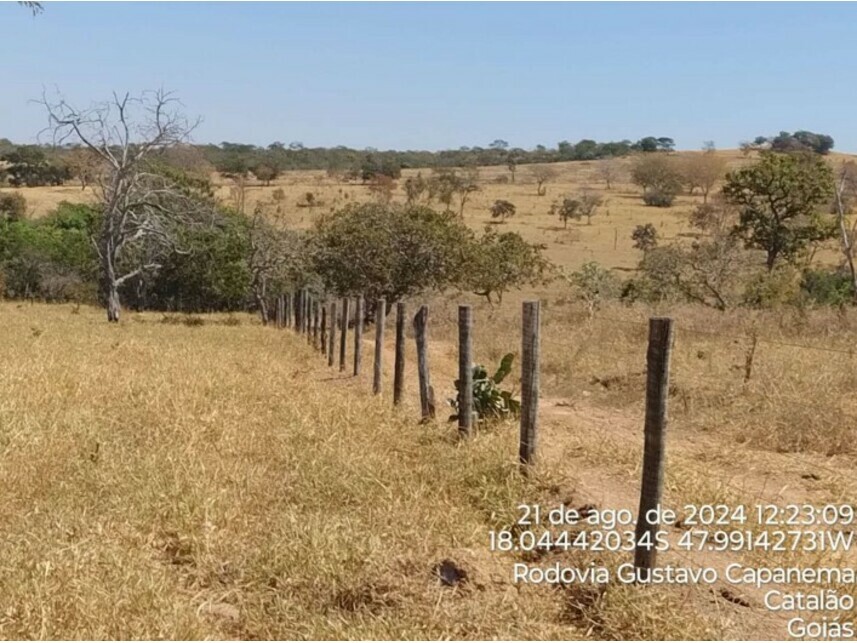 Imagem 4 do Leilão de Terreno - Zona Rural - Catalão/GO