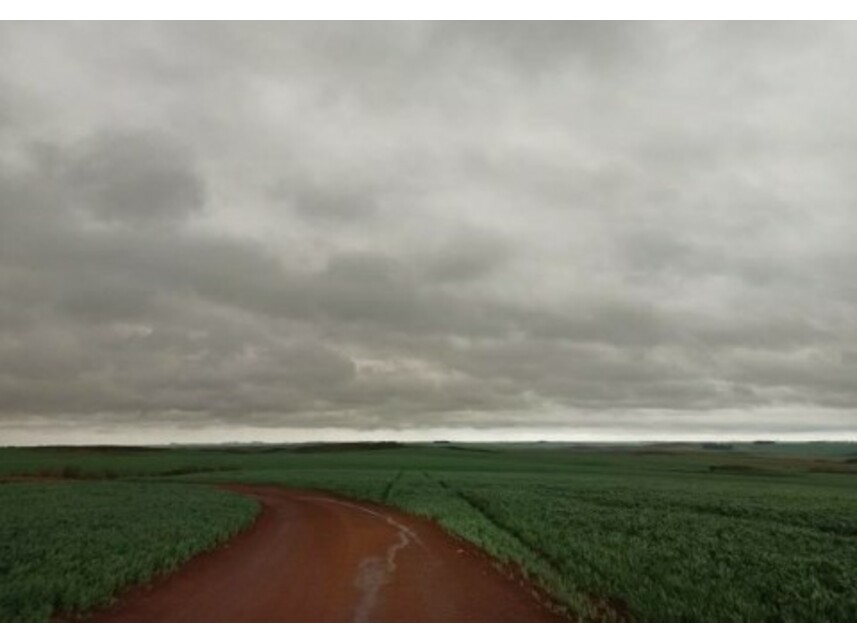 Imagem 8 do Leilão de Área Rural - Zona Rural - Tupanciretã/RS