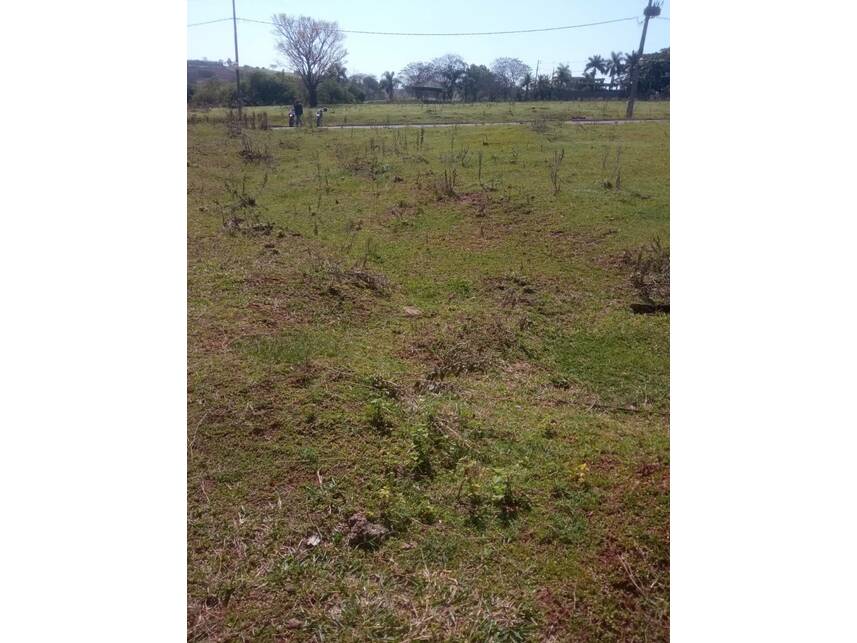 Imagem 6 do Leilão de Terreno - Parque Residencial Viva - Pérola/PR