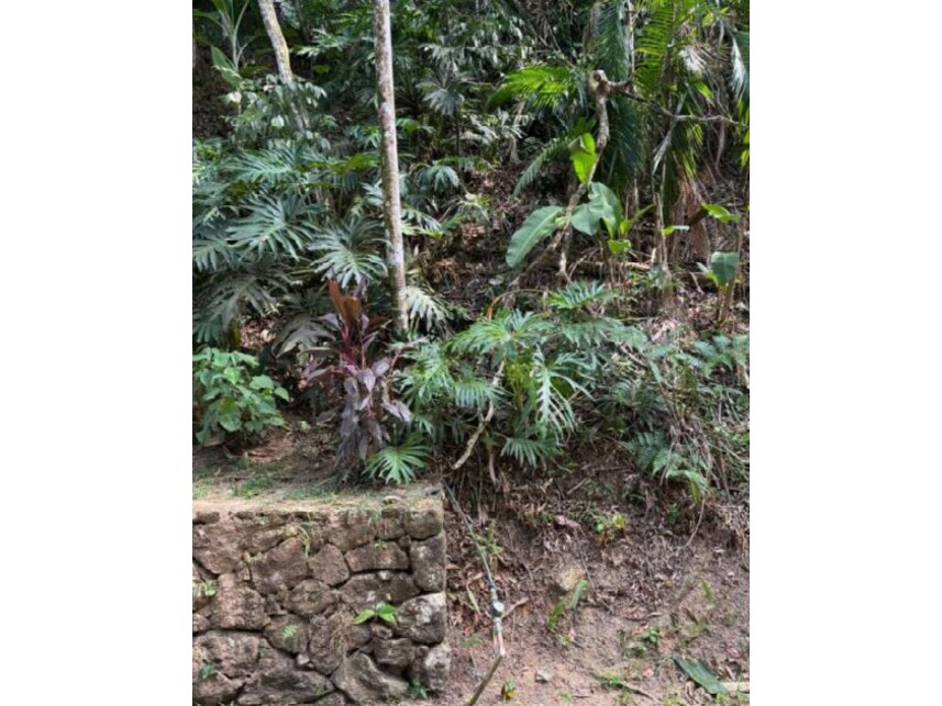 Imagem 5 do Leilão de Terreno - Guararú - Guarujá/SP
