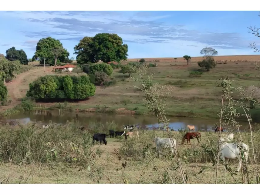 Área Rural à venda em leilão - leilão judicial - Itaju SP - lance mínimo R$ 2.655.292