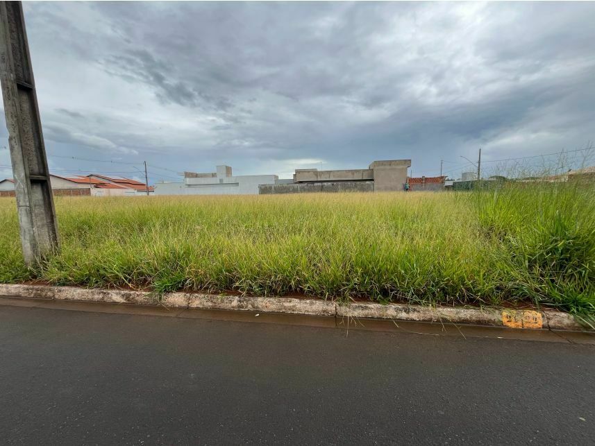 Imagem 2 do Leilão de Terreno - Ouro Verde - Araguari/MG