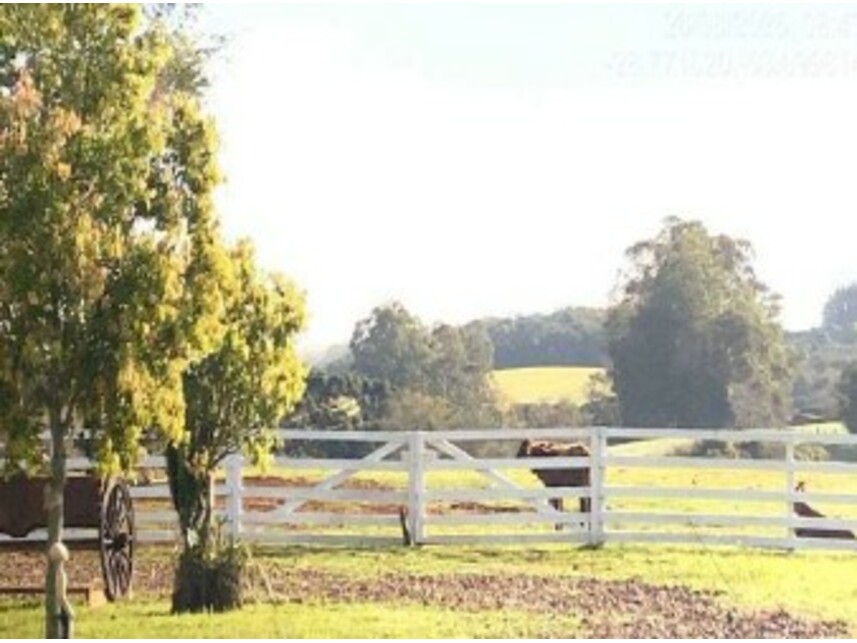 Imagem 4 do Leilão de Área Rural - Zona Rural - Quinze de Novembro/RS