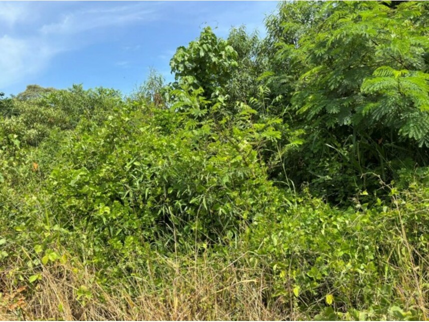 Imagem 1 do Leilão de Lote - Parque Corrupira - Etapa 1 - Jundiaí/SP