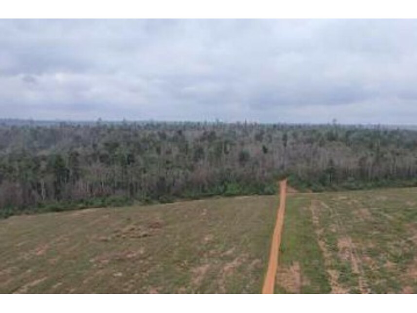 Imagem 4 do Leilão de Área Rural - Zona Rural - Rondon do Pará/PA