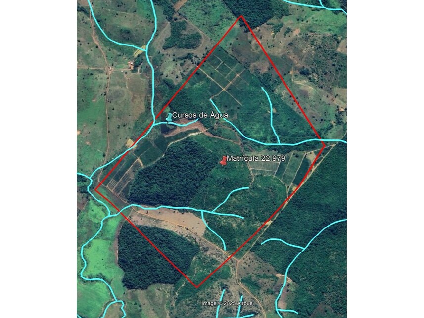 Imagem 1 do Leilão de Fazenda - Zona Rural - Floresta do Araguaia/PA