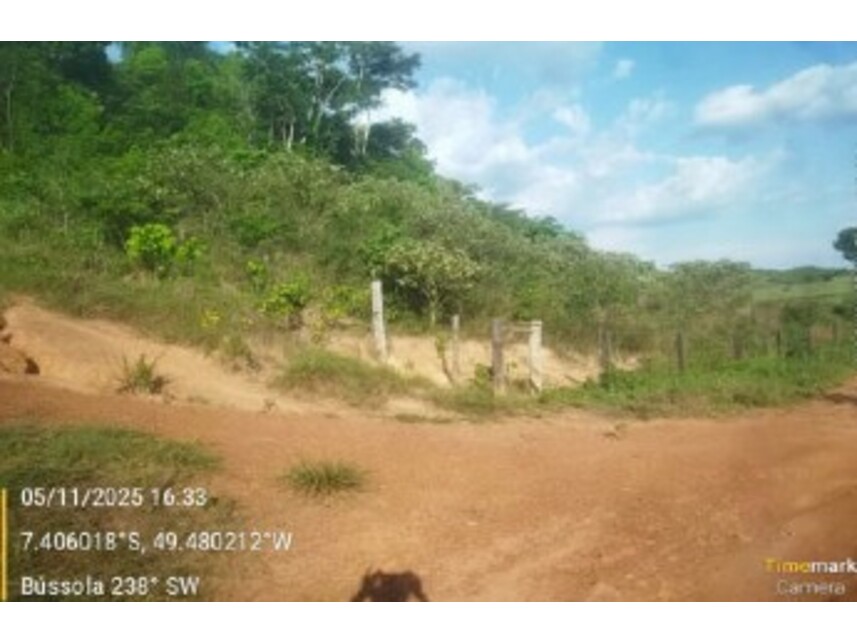 Imagem 6 do Leilão de Fazenda - Zona Rural - Floresta do Araguaia/PA