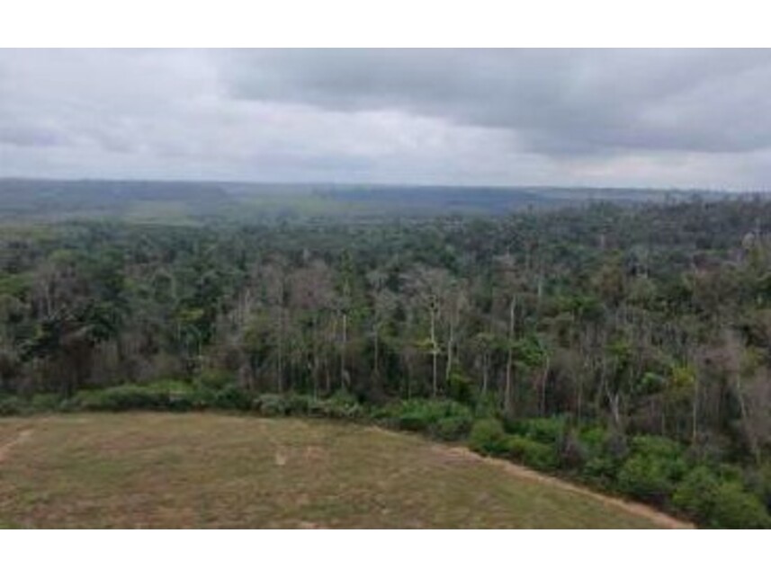 Imagem 5 do Leilão de Área Rural - Zona Rural - Rondon do Pará/PA