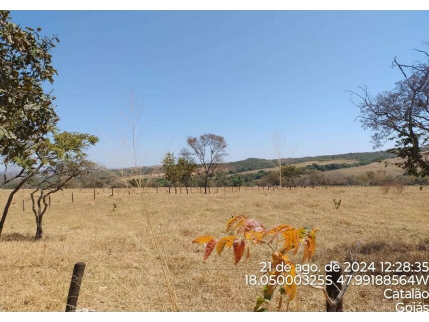 Imagem 6 do Leilão de Terreno - Zona Rural - Catalão/GO