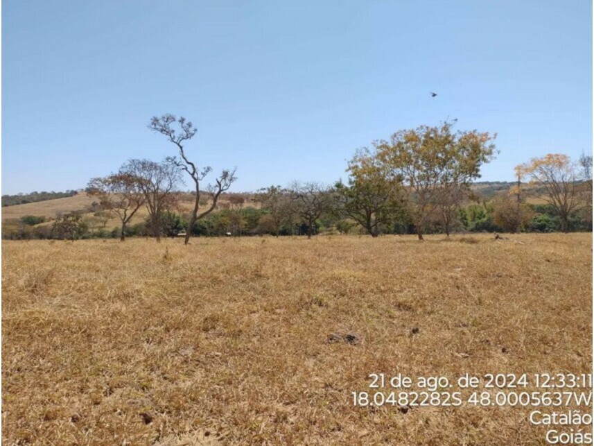 Imagem 3 do Leilão de Terreno - Zona Rural - Catalão/GO