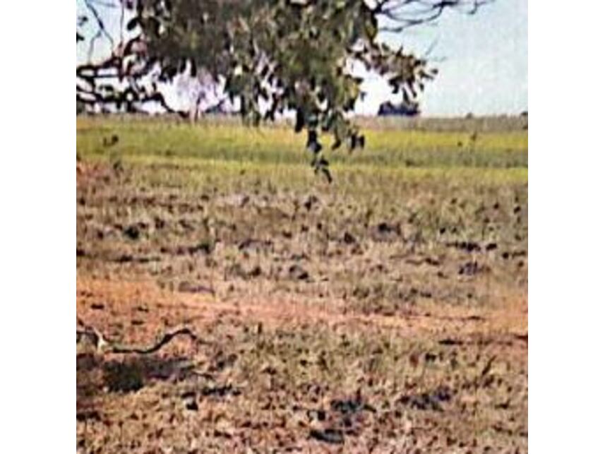 Imagem 2 do Leilão de Área Rural - Zona Rural - Coxim/MS